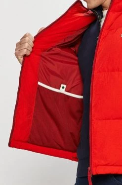 Ανδρικά Κοντά μπουφάν Lacoste - Μπουφάν με επένδυση από πούπουλα κόκκινο -Εξοδος Lacoste Κατάστημα unnamed file 252